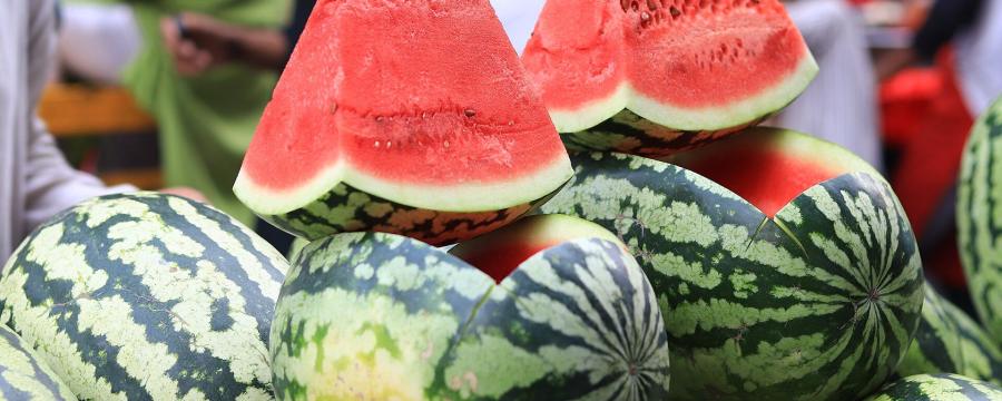 Pastèques et melons