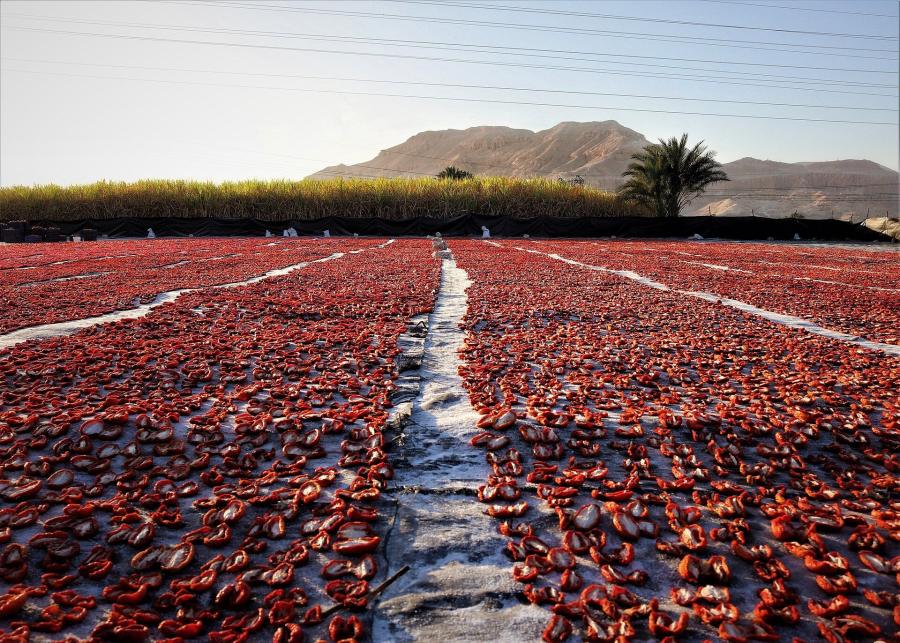 Tomates séchées au soleil